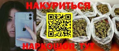 сатива Будённовск