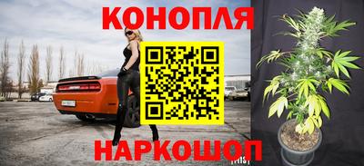 сатива Будённовск
