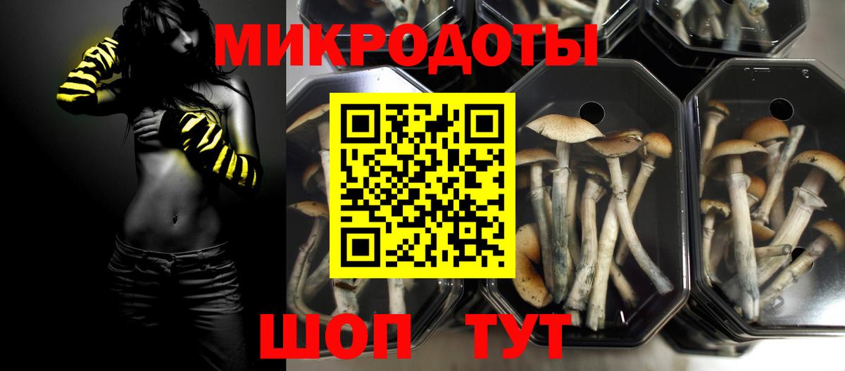 Галлюциногенные грибы прущие грибы Кушва